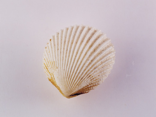 400384 (a): :1600x1200